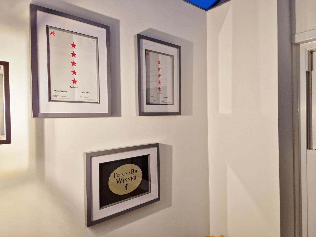Llys Bach Apartment At Llys Aeron أبيريرون المظهر الخارجي الصورة